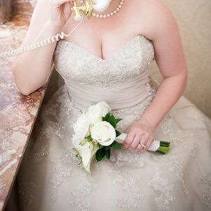 GORGEOUS Sophia Tolli wedding gown size 14!